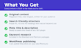 write SEO optimized blog posts for  tech websites
