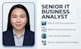 be your senior IT business analyst and user testing expert