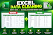 clean, analyze, and visualize your data using microsoft excel