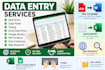do data entry, typing, copy paste, audio trimming and google sheets