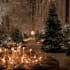 create festive holiday christmas design illustration