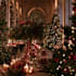do magical christmas character for you
