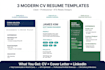 make a professional CV design and resume writing