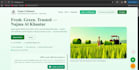full stack web development  SEO services