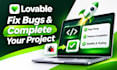 complete and improve your lovable saas mvp and web app