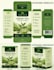 design luxury tea packaging box and tea bag pouch label
