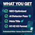 write SEO optimized ai blog posts and humanized articles