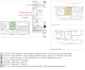 Do tiles and paint cost estimation by planswift by Abdul_raffey | Fiverr