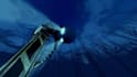 do roblox horror game, horror game, halloween game, jumpscare