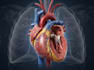 draw medical illustrations and diagrams