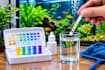 provide expert aquarium consultation and fish keeping advice