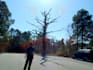 edit trailers, short films, or feature films for you