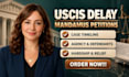 draft uscis immigration document, rfe response, affidavits and complaints