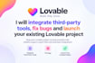 lovable bug fixing API integration lovable deployment lovable saas mvp
