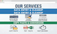 do accurate excel dat entry, copy paste, and web reserch