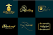 professional elegant signature handwritten font logo