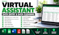 do e commerce data entry, product listing, and business data cleaning