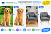 professionally remove image backgrounds to transparent png