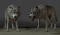 create 3d creatures ready for game, werewolf and wild animal, ue5 3d rigging,fbx