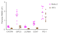 design proteins, predict structures, perform docking and MD simulations