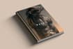 design a colorful book cover