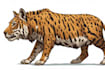 create realistic animal illustration