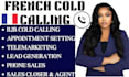 french b2b b2c cold calling appointment setter phone sales representative