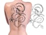 create a profesional tribal tattoo design