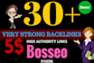 create 30 very strong citation and trust tf40 links