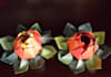 fold two origami lotus flower