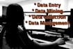 help you in data mining data collection typing work