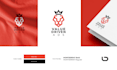 design brand style guides identity with premium logo design