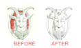 vectorize, redraw, trace, recreate logo