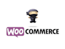 design and build customize wordpress website