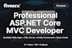 build professional asp dot net core mvc websites and apis