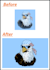 convert your logo into vector very fast