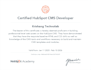 hubspot certified developers build hubspot website