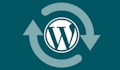 update wordpress, plugins without losing any data