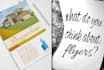 design professional flayer, brochure, poster