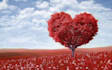 create a beautiful valentine video