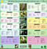 design a unique infographic