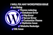 redesign wordpress website, customize website, fix issues