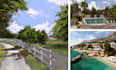 create digital paintings and illustrations
