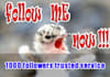 give you 1000 Real Twitter Followers and FREE Tweet to 16000 followers