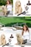 do creative banners for your business