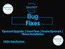 fix any issues and bugs in opencart online store