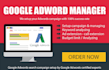 google ads ongoing monthly management