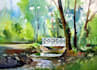 professionally illustrate anything in water colors