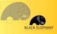 design catching logo for you need