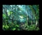 beautiful animated background design